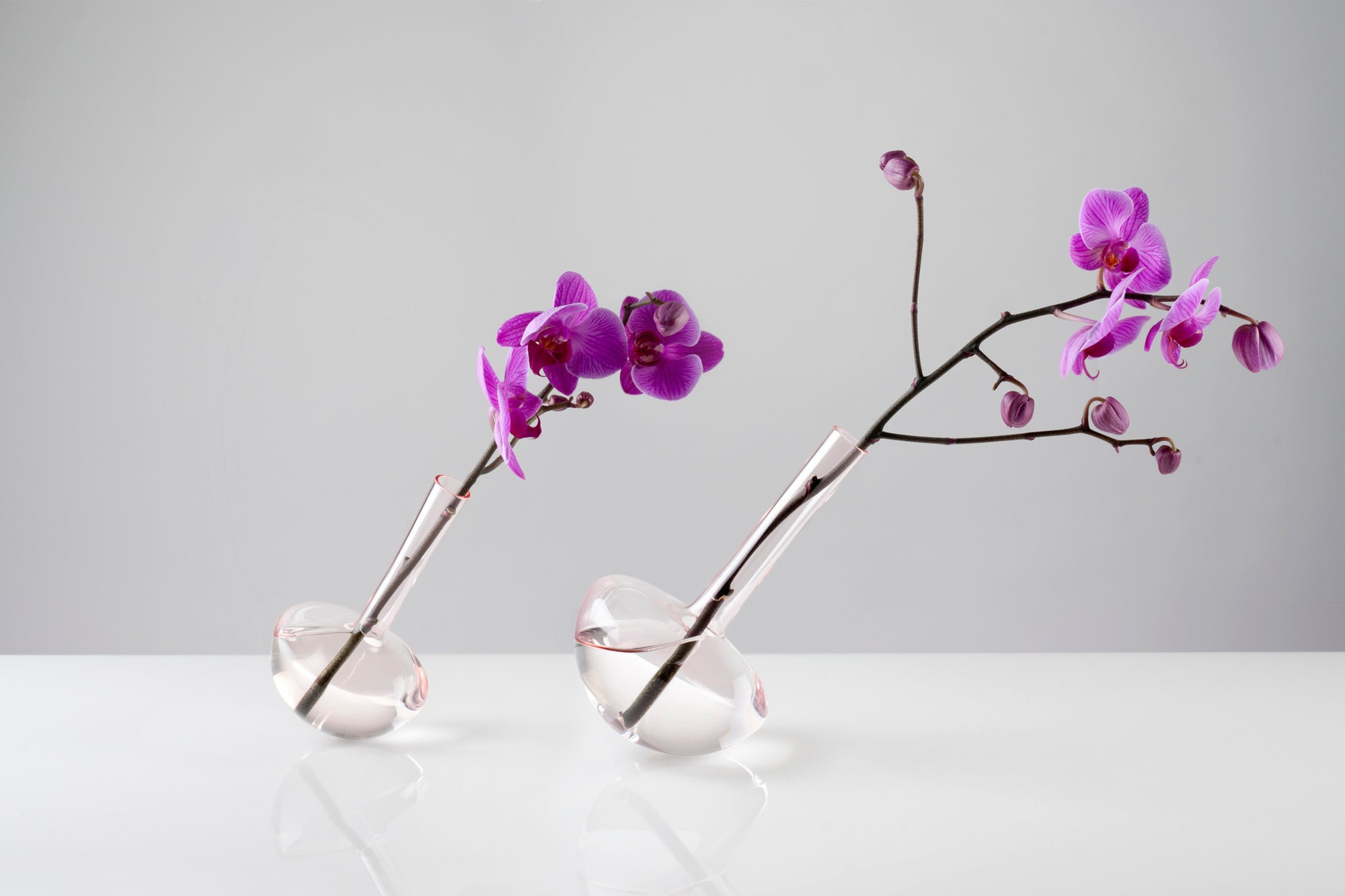 GAUGE vase (Stems, with Single Stem) - Photograph by John R Ward