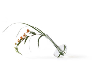 GAUGE Borosilicate vase (Stems)